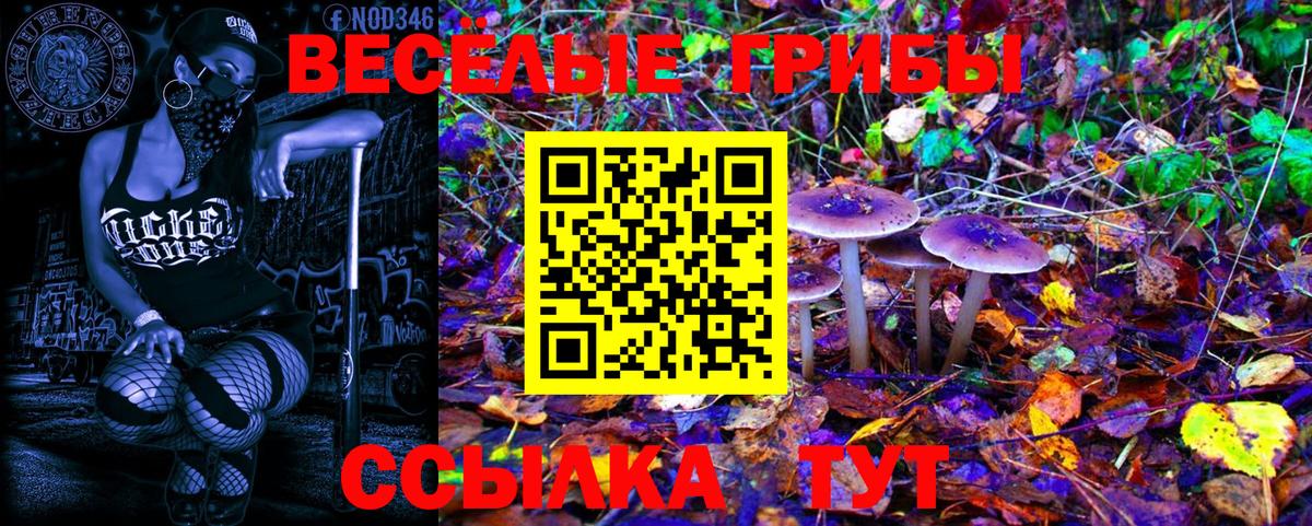 Саяногорск  Псилоцибиновые грибы Magic Shrooms  Вход с VPN  Галлюциногенные грибы мухоморы 